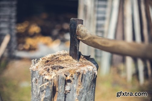 Collection of old stump wood bark pattern background is a piece of wood ax 25 HQ Jpeg