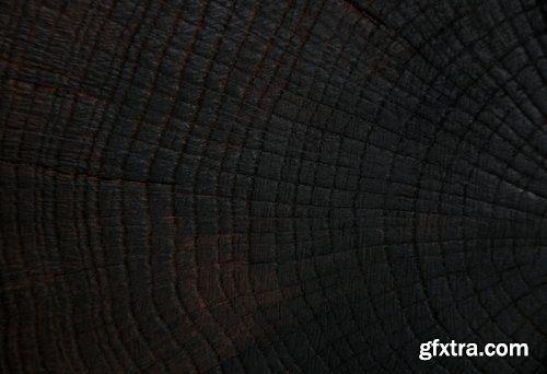 Collection of old stump wood bark pattern background is a piece of wood ax 25 HQ Jpeg