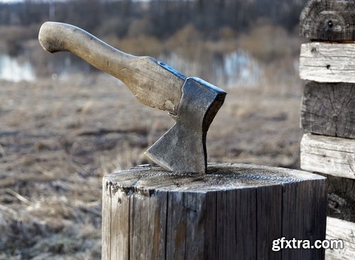 Collection of old stump wood bark pattern background is a piece of wood ax 25 HQ Jpeg