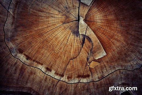 Collection of old stump wood bark pattern background is a piece of wood ax 25 HQ Jpeg