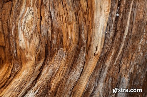 Collection of old stump wood bark pattern background is a piece of wood ax 25 HQ Jpeg