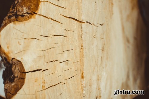 Collection of old stump wood bark pattern background is a piece of wood ax 25 HQ Jpeg