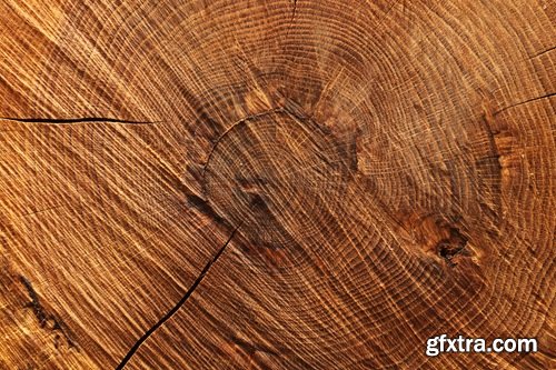 Collection of old stump wood bark pattern background is a piece of wood ax 25 HQ Jpeg