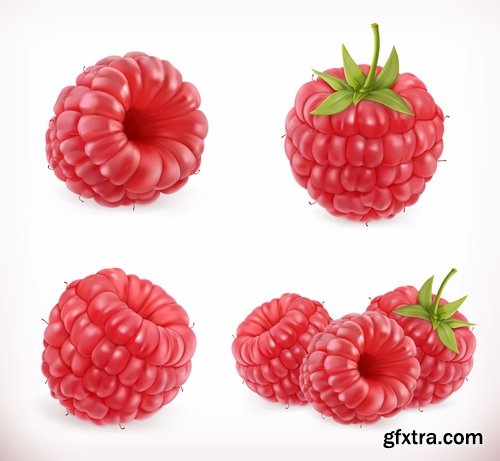 Collection of realistic illustration of vegetables fruits berries vector image 25 EPS