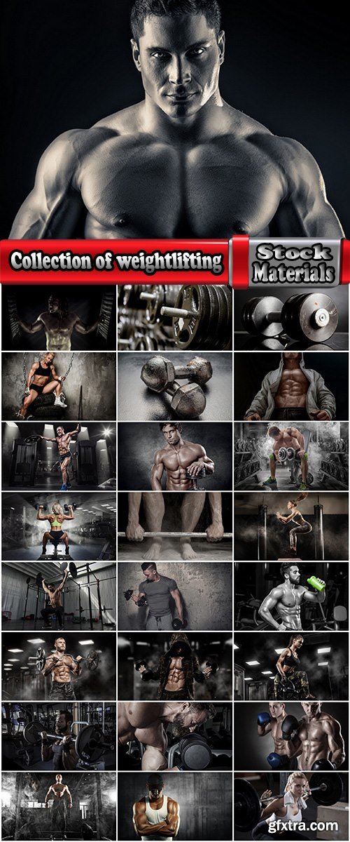 Collection of weightlifting bodybuilding gym dumbbell bar exercise machine 25 HQ Jpeg