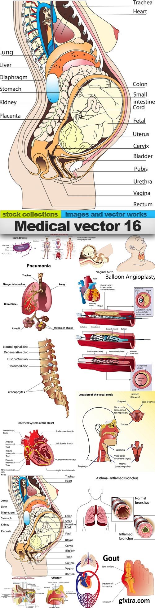 Medical vector 16, 15 x EPS