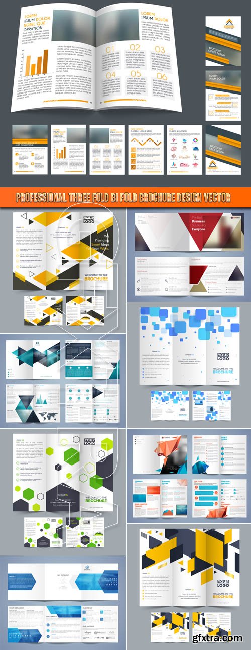 Professional Three Fold bi fold Brochure design vector