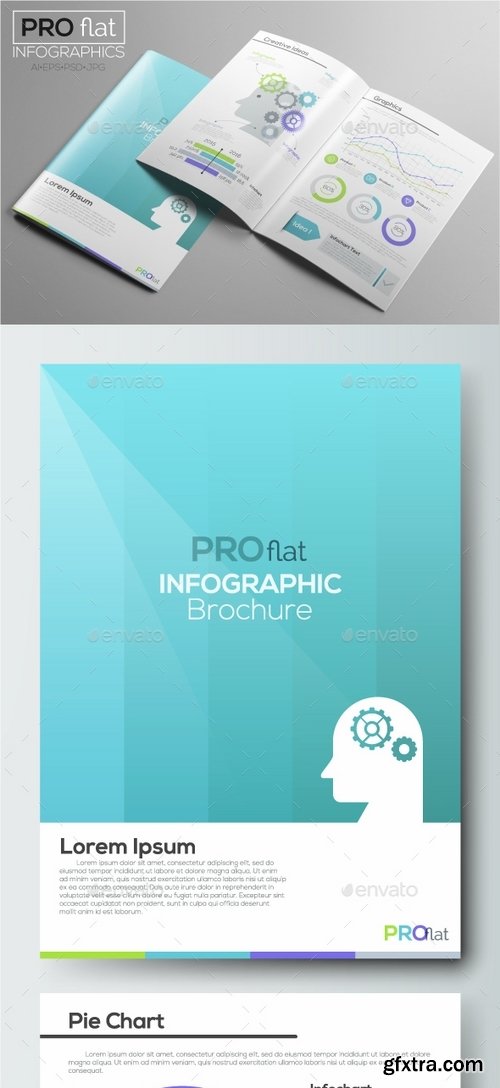 GraphicRiver - Pro Flat Infographic Brochure Set 1 1629865