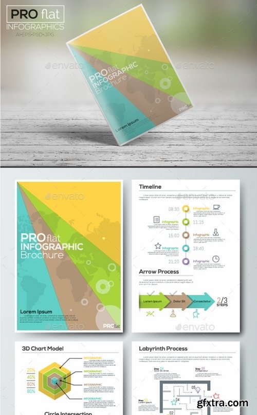 GraphicRiver - Pro Flat Infographic Brochure Set 5 1641388