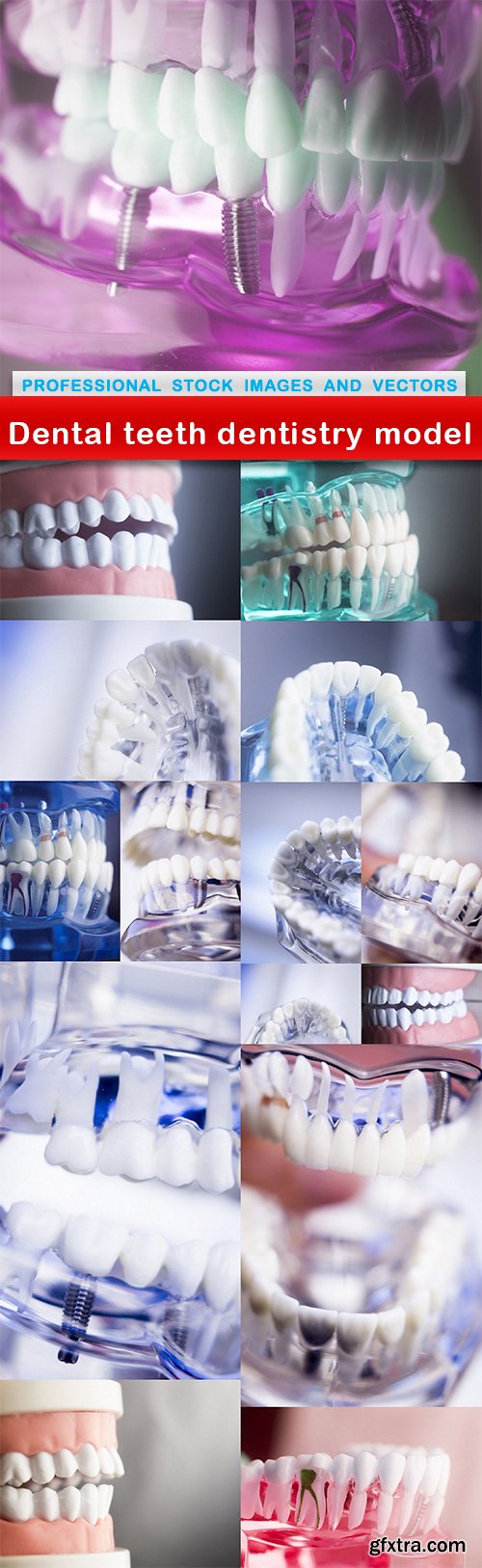 Dental teeth dentistry model - 15 UHQ JPEG