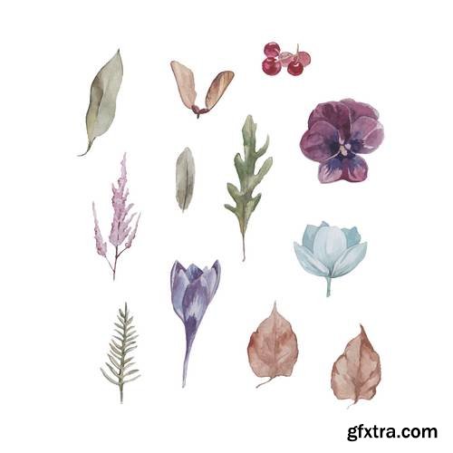 Set of Watercolor Elements