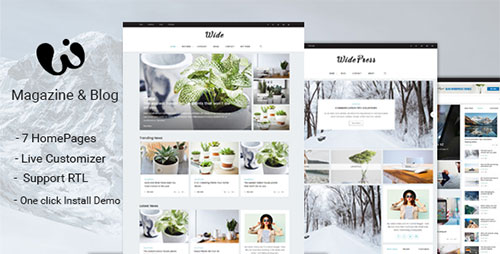 ThemeForest - Wide - Magazine & Blog WordPress Themes 19212976