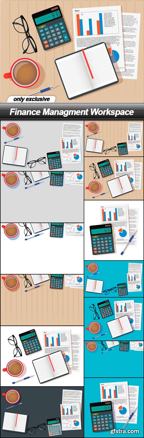 Finance Managment Workspace - 13 EPS