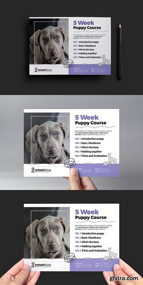 CM - Puppy School Flyer Template v2 1199498