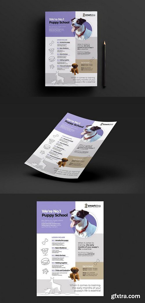 CM - A4 Puppy School Poster Template v2 1198979