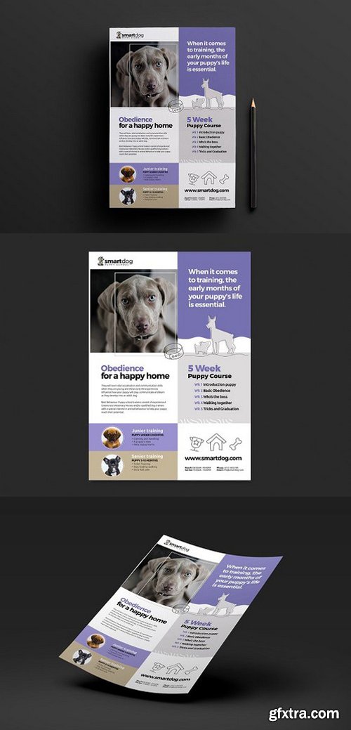 CM - A4 Puppy School Poster Template 1198977