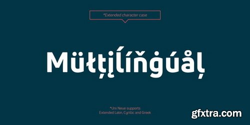 Uni Neue Font Family $179