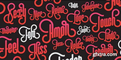 Vinyle Font Family $75