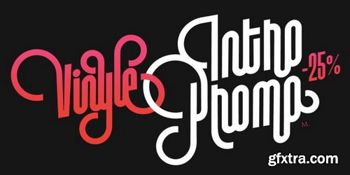 Vinyle Font Family $75