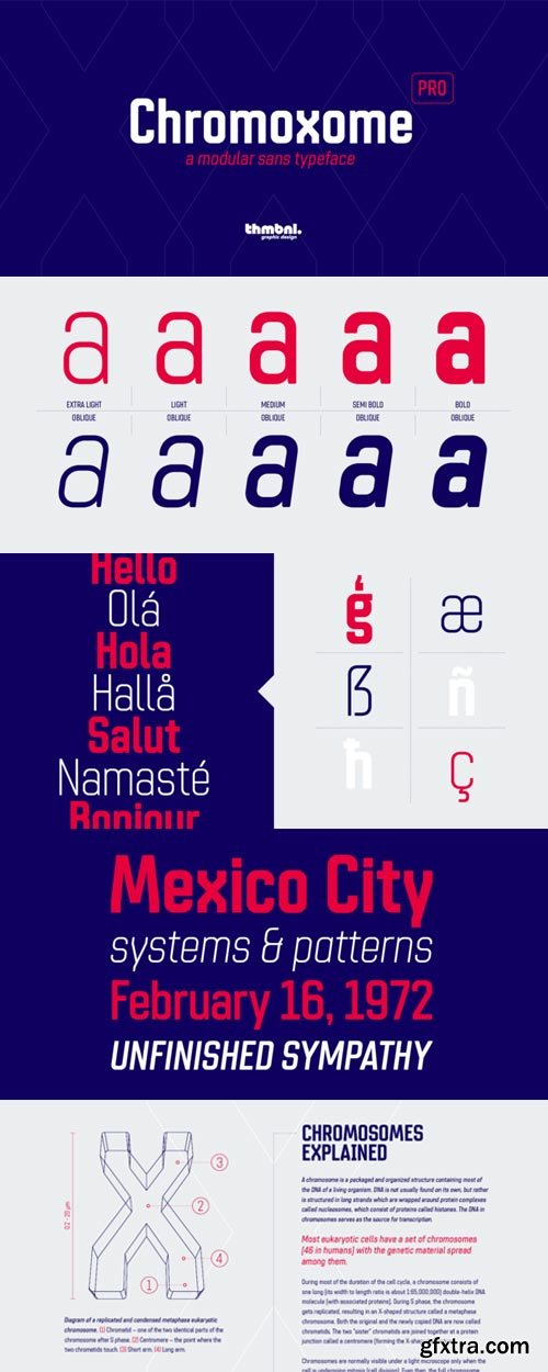 Chromoxome Pro Font Family $45