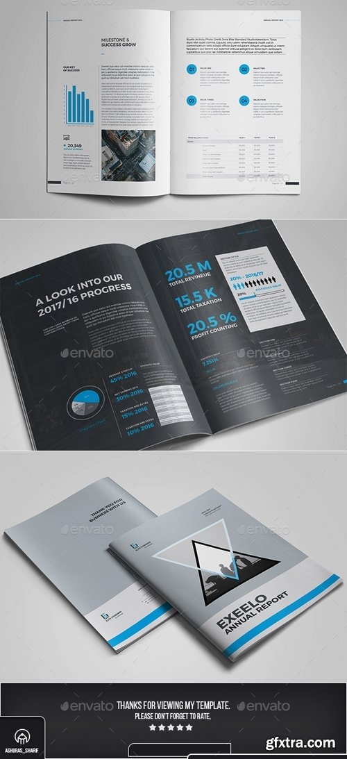 GraphicRiver - Annual Report 17506660