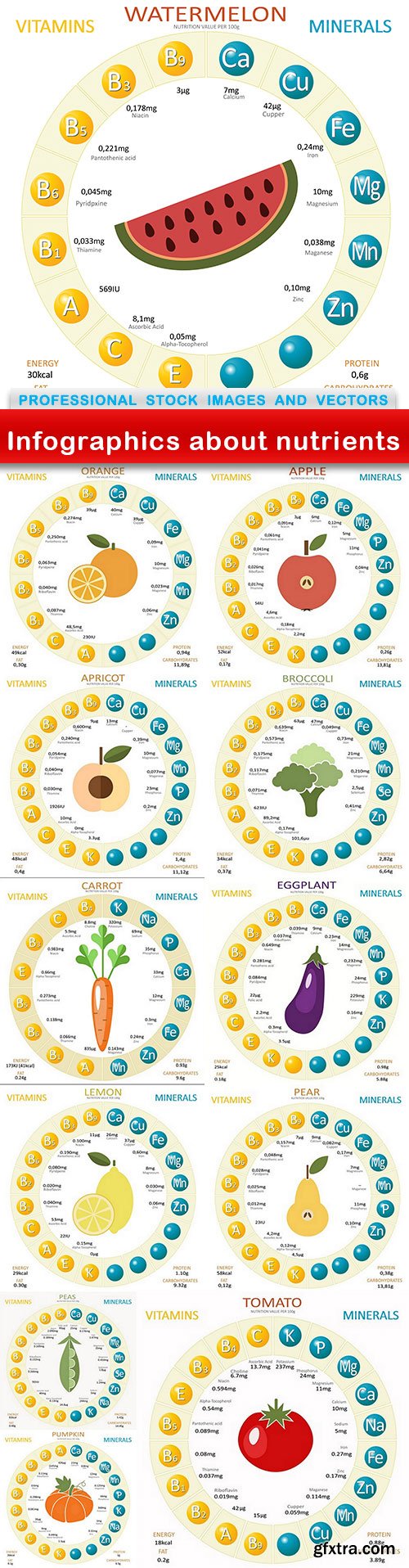 Infographics about nutrients - 12 EPS