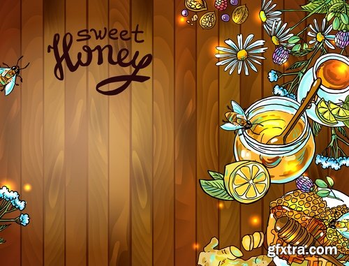 Collection of honey bee hive honeycomb 25 EPS