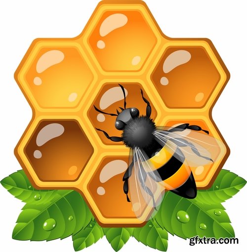 Collection of honey bee hive honeycomb 25 EPS