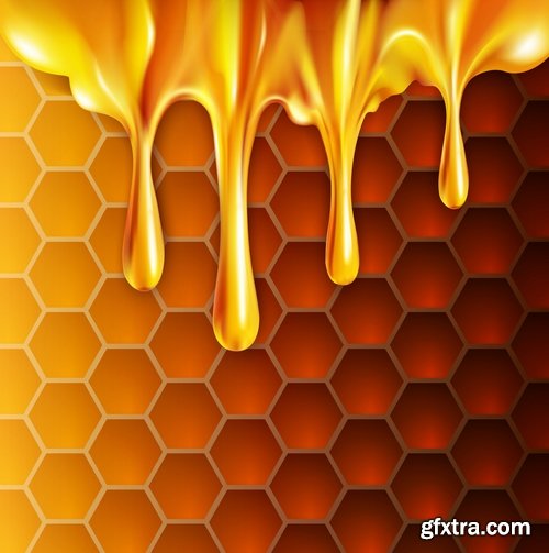 Collection of honey bee hive honeycomb 25 EPS