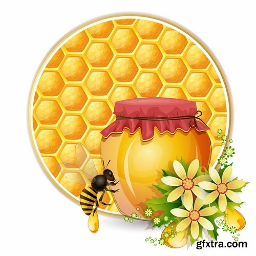 Collection of honey bee hive honeycomb 25 EPS