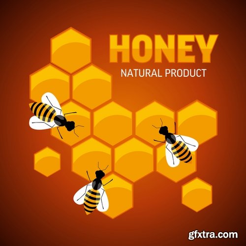 Collection of honey bee hive honeycomb 25 EPS