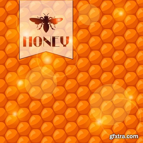 Collection of honey bee hive honeycomb 25 EPS