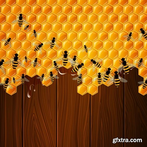 Collection of honey bee hive honeycomb 25 EPS