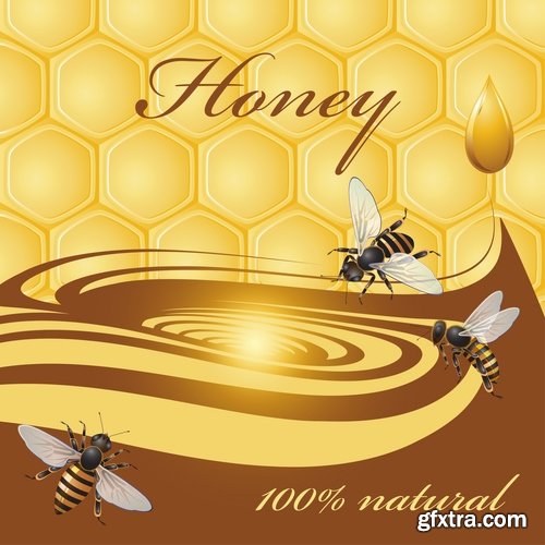 Collection of honey bee hive honeycomb 25 EPS