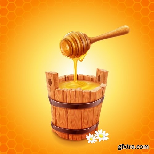 Collection of honey bee hive honeycomb 25 EPS