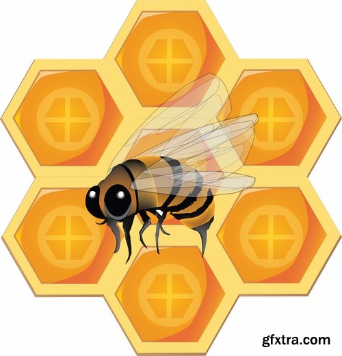 Collection of honey bee hive honeycomb 25 EPS