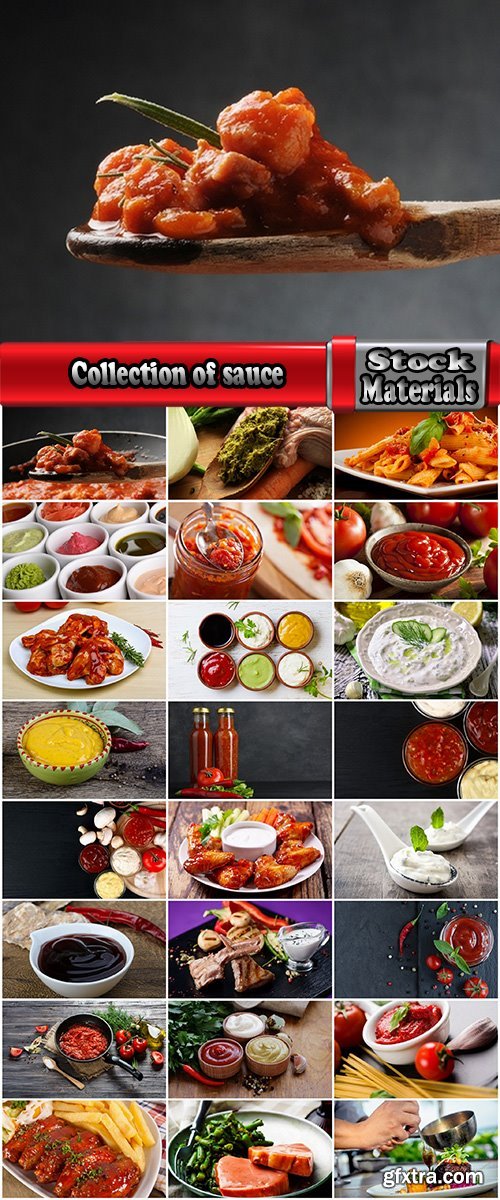 Collection of sauce dish with ketchup and condiment spices meat 25 HQ Jpeg