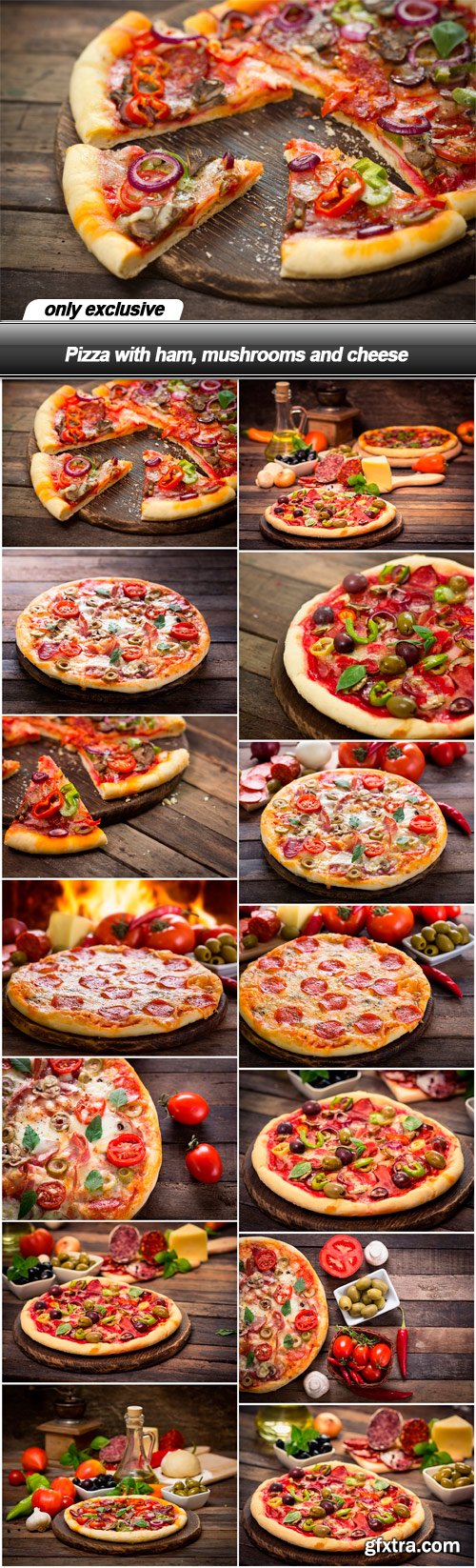 Pizza with ham, mushrooms and cheese - 14 UHQ JPEG