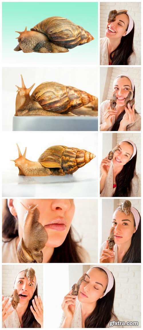 Snails Achatina procedures on the body 10X JPEG