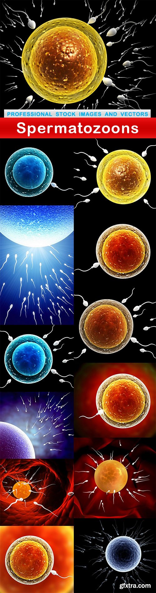 Spermatozoons - 13 UHQ JPEG