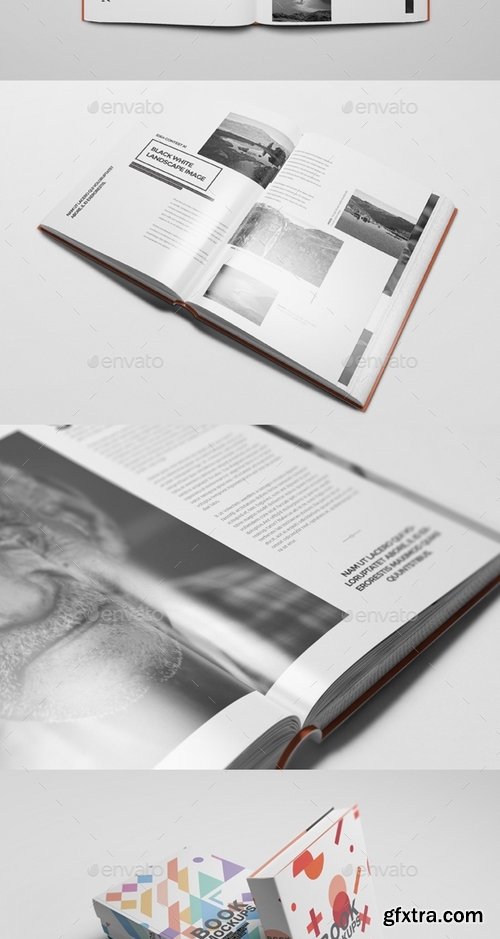 GraphicRiver - Book Mockups 19028038