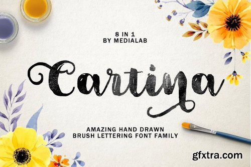 CreativeMarket Cartina 8 in 1 script 1230164