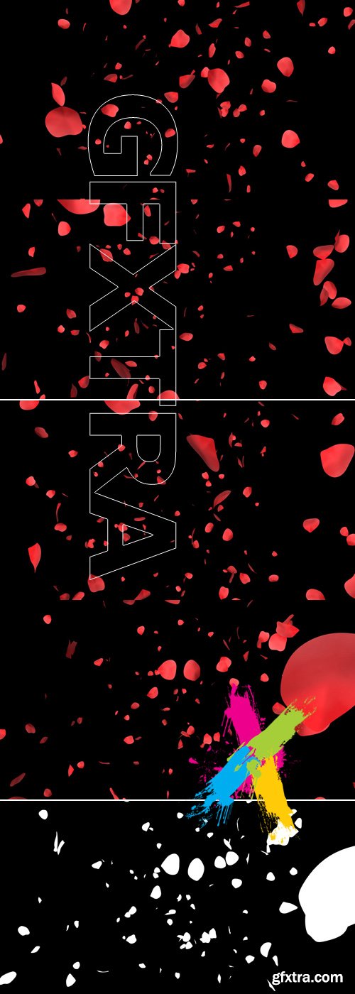 Rose petals with Alpha Channel Footage