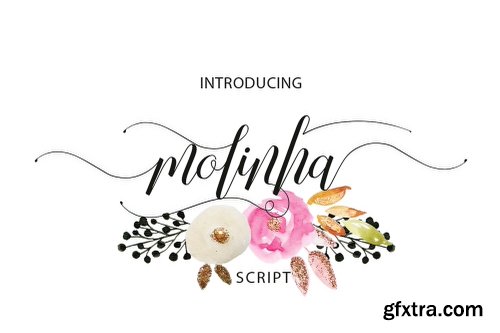 CreativeMarket Molinha 1177976