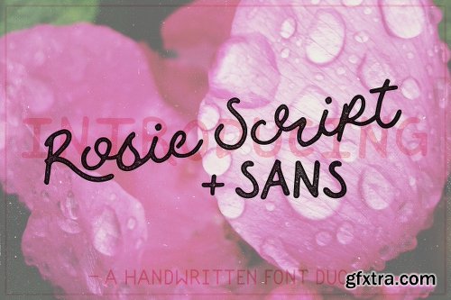 CreativeMarket Rosie Script 1176994