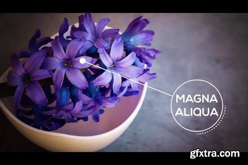 Clean Call Outs After Effects Templates