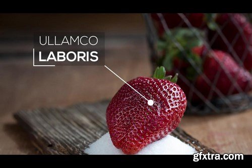 Clean Call Outs After Effects Templates