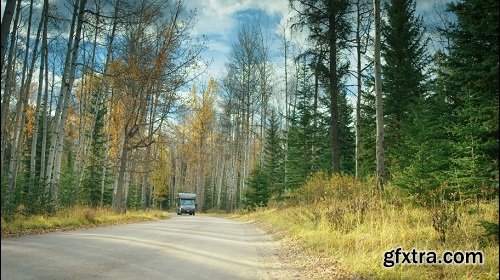 Rv driving through forest