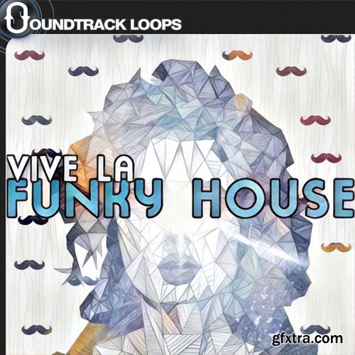 Soundtrack Loops Vive La Funky House WAV NATiVE iNSTRUMENTS MASCHiNE-DISCOVER