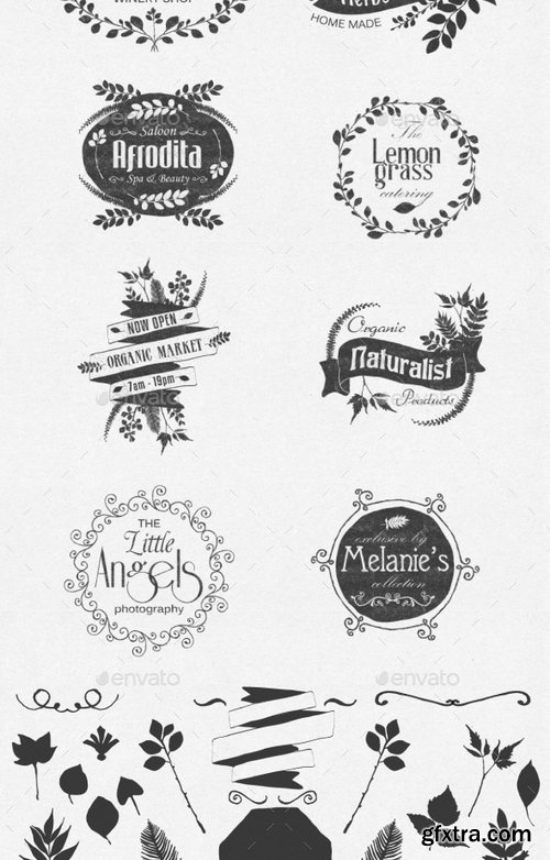 GraphicRiver - Hand Drawn Floral Labels and Design Elements 10169622